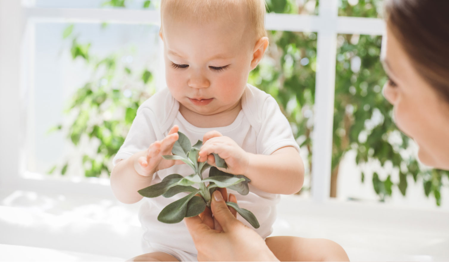 Child holding olive branch in hand